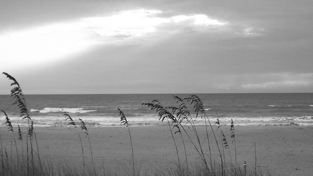 Mourning Grass
