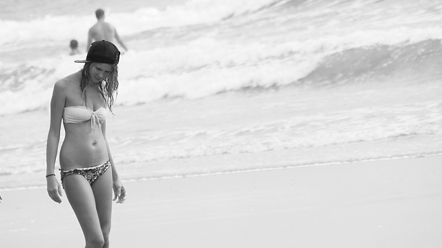 Shell Searcher