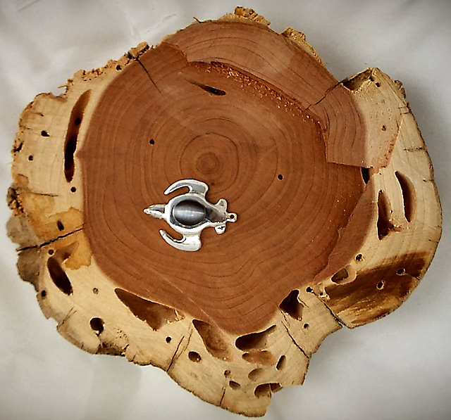 Turtle on cedar